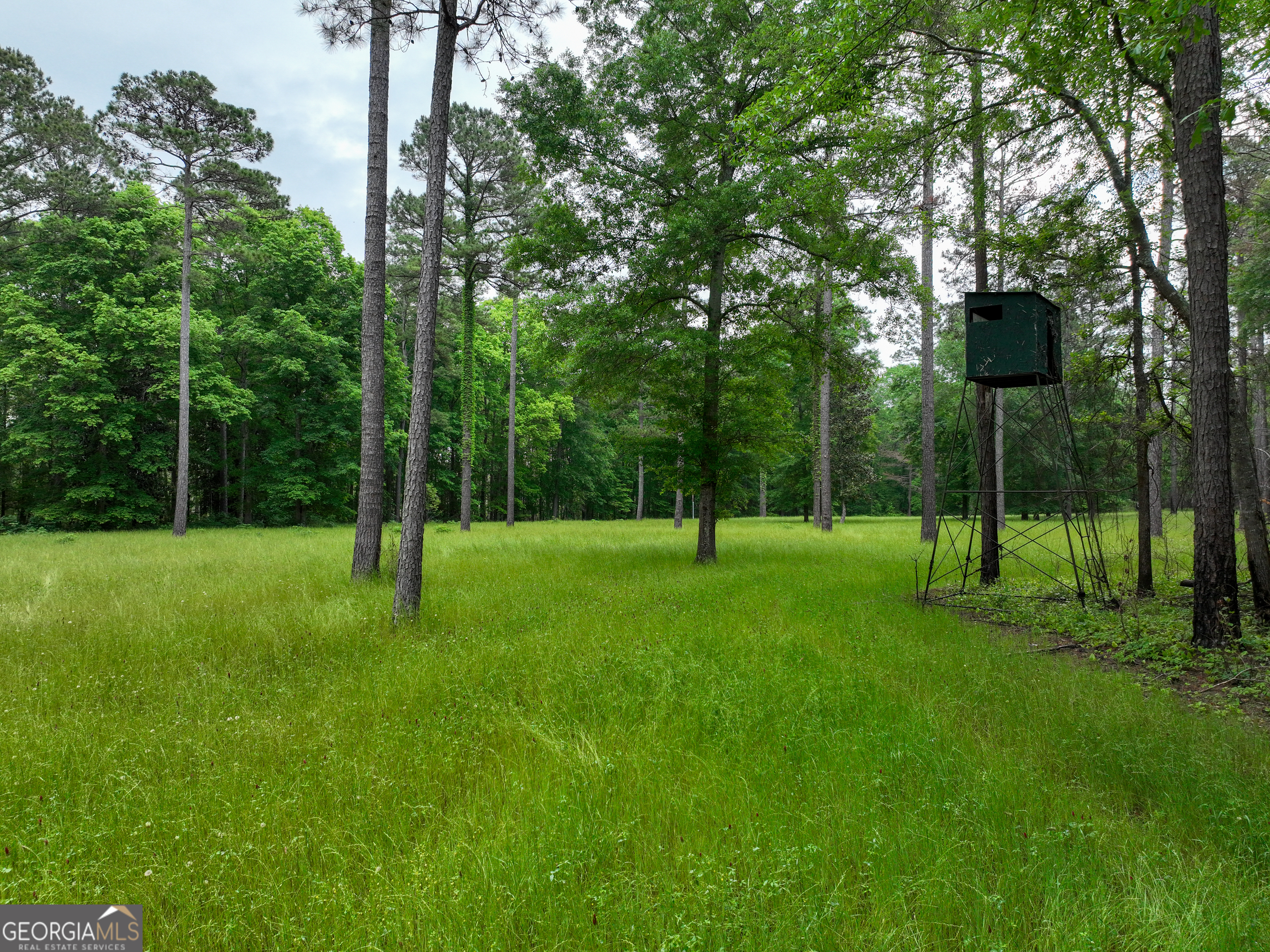 6620 J R Sims Road Irwinton, GA 31042 - Photo 5 of 83