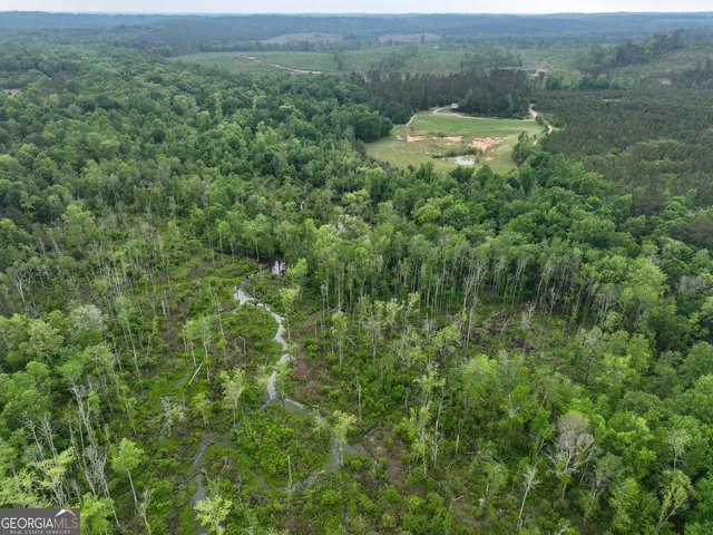 $2,600,000 | 6620 J R Sims Road, Irwinton, GA 31042