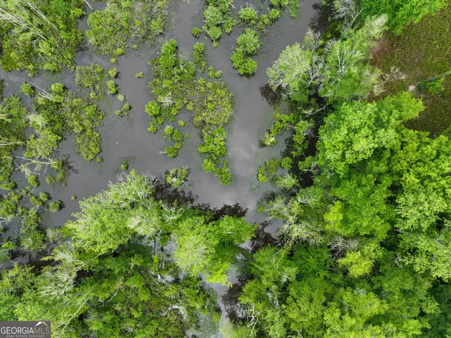 $2,600,000 | 6620 J R Sims Road, Irwinton, GA 31042