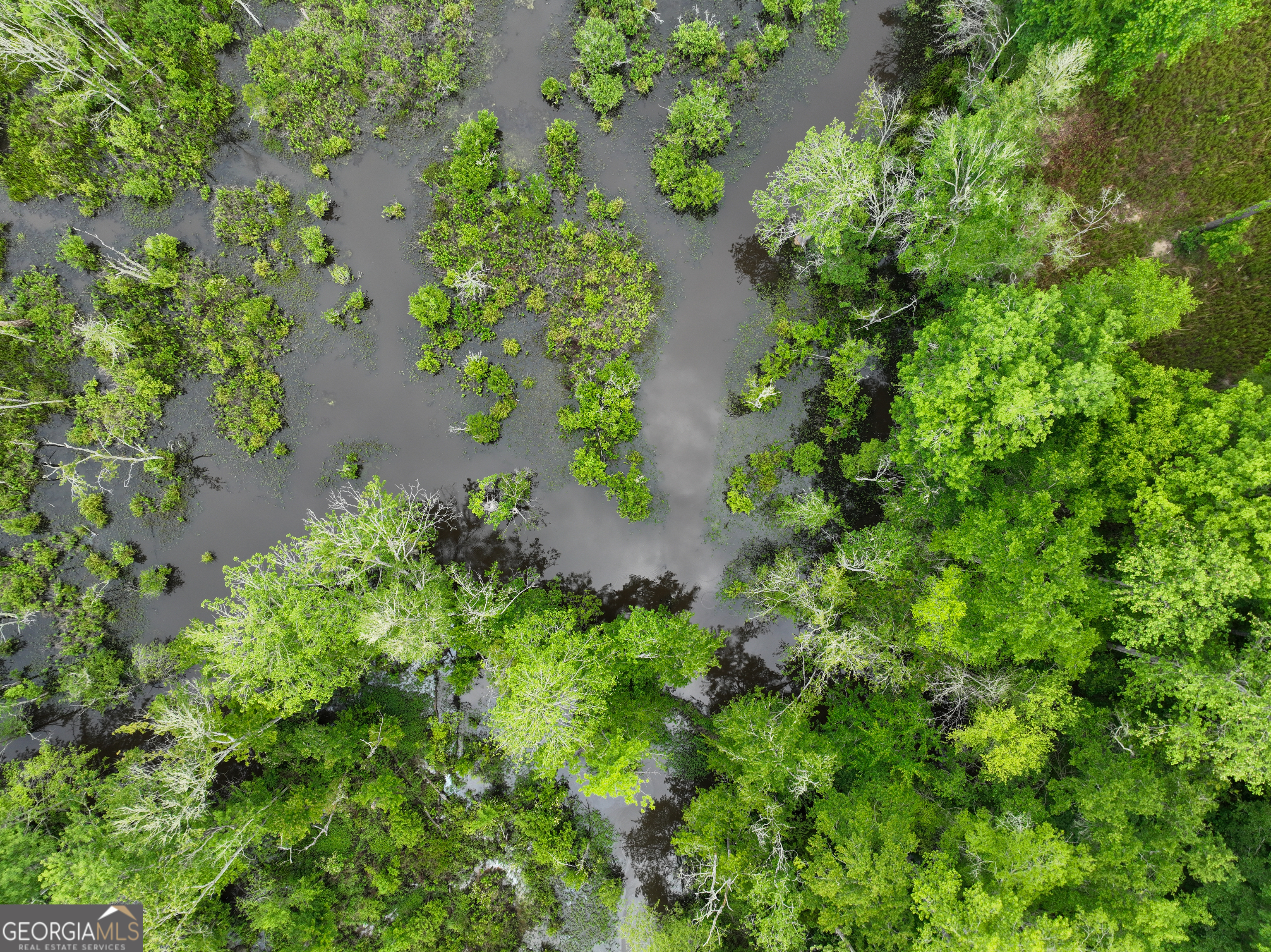 6620 J R Sims Road Irwinton, GA 31042 - Photo 52 of 83