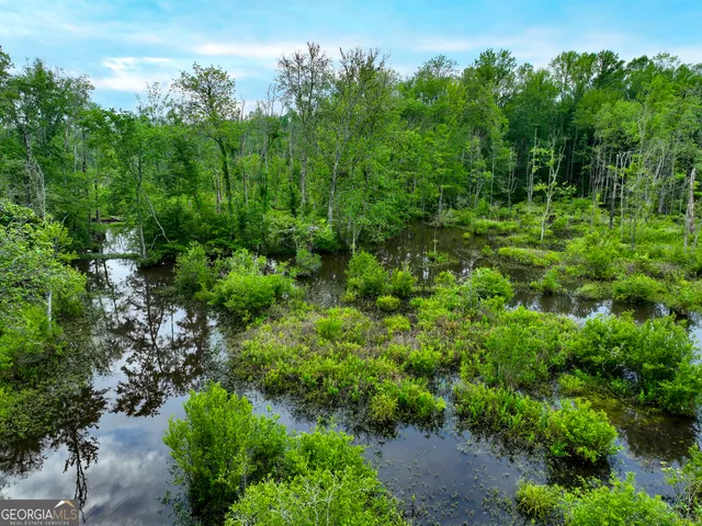 $2,600,000 | 6620 J R Sims Road, Irwinton, GA 31042