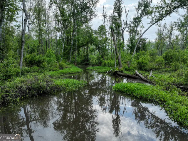 $2,600,000 | 6620 J R Sims Road, Irwinton, GA 31042