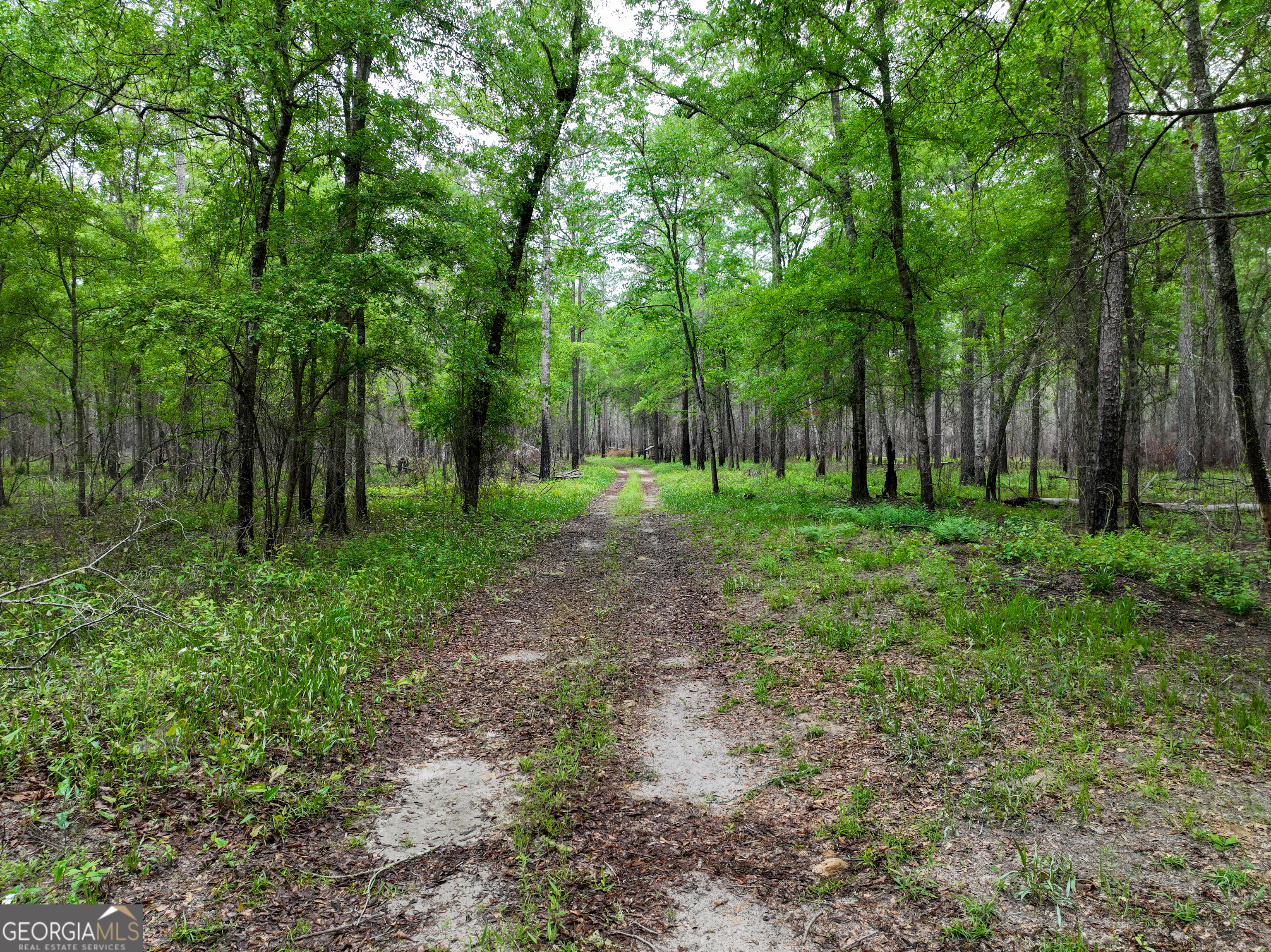 6620 J R Sims Road Irwinton, GA 31042 - Photo 55 of 83