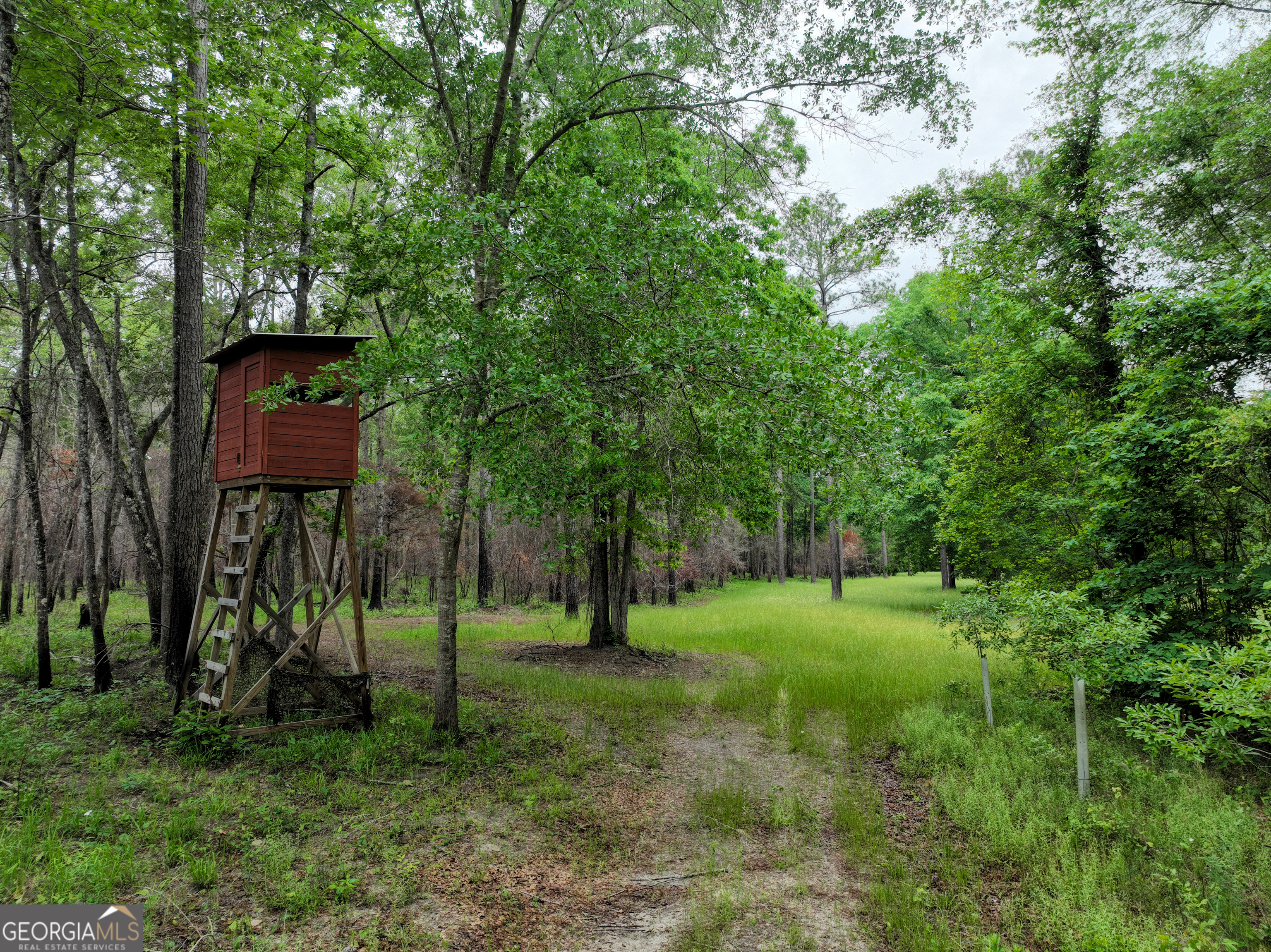6620 J R Sims Road Irwinton, GA 31042 - Photo 58 of 83