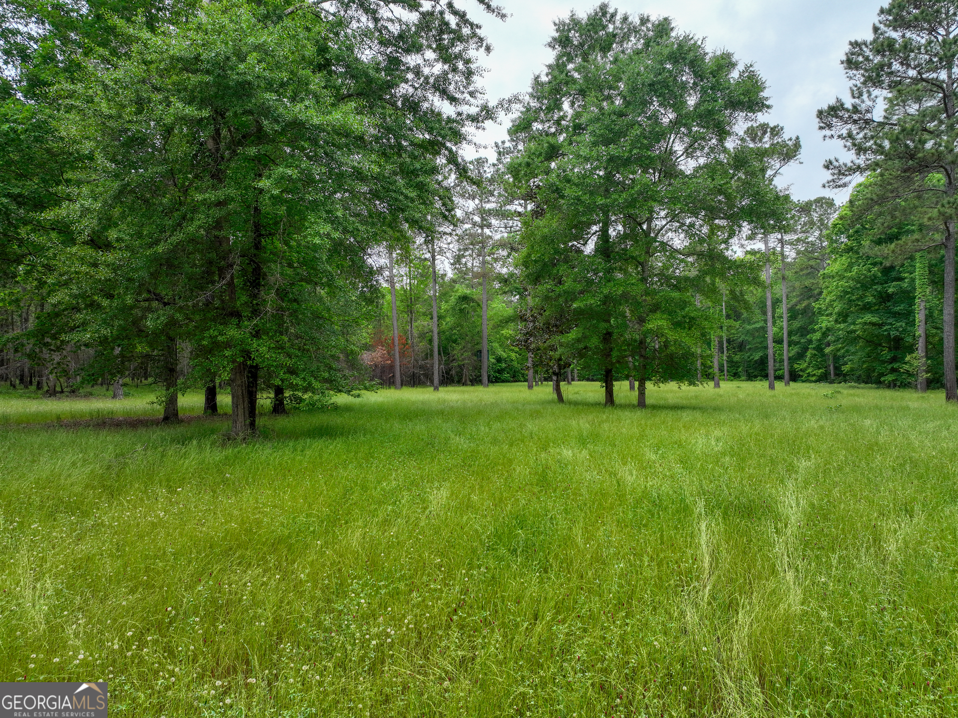 6620 J R Sims Road Irwinton, GA 31042 - Photo 59 of 83