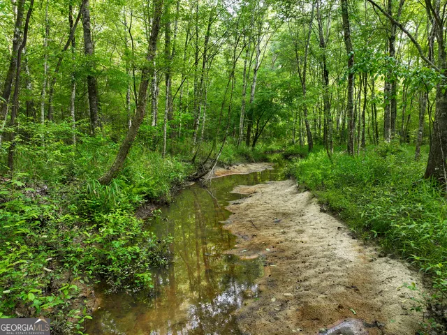 $2,600,000 | 6620 J R Sims Road, Irwinton, GA 31042