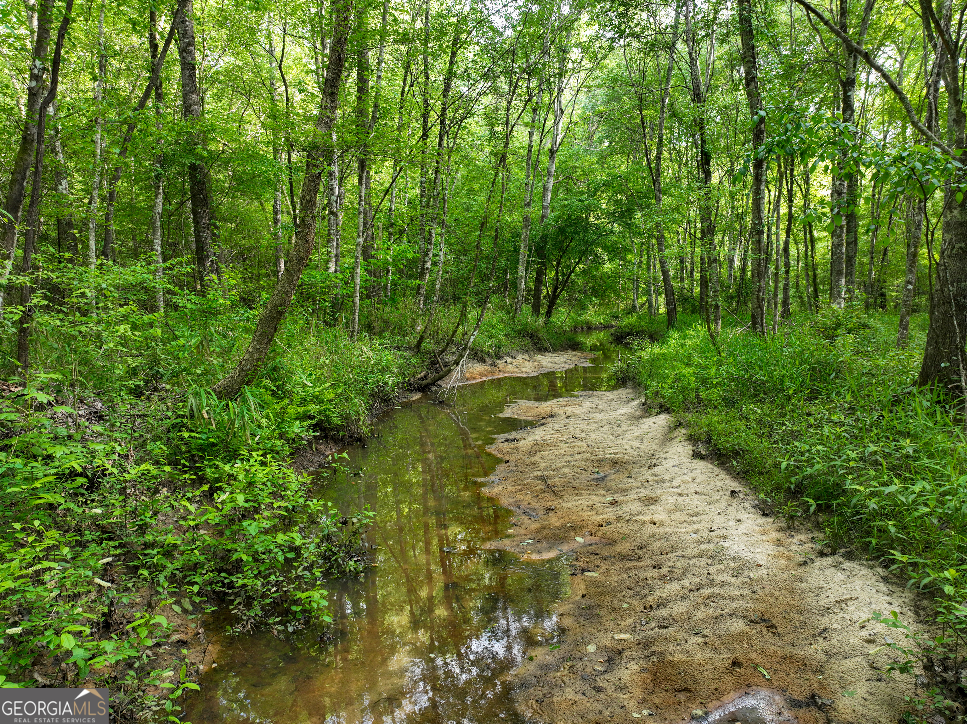 6620 J R Sims Road Irwinton, GA 31042 - Photo 60 of 83