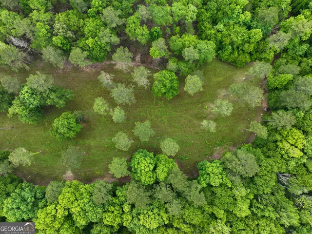 $2,600,000 | 6620 J R Sims Road, Irwinton, GA 31042