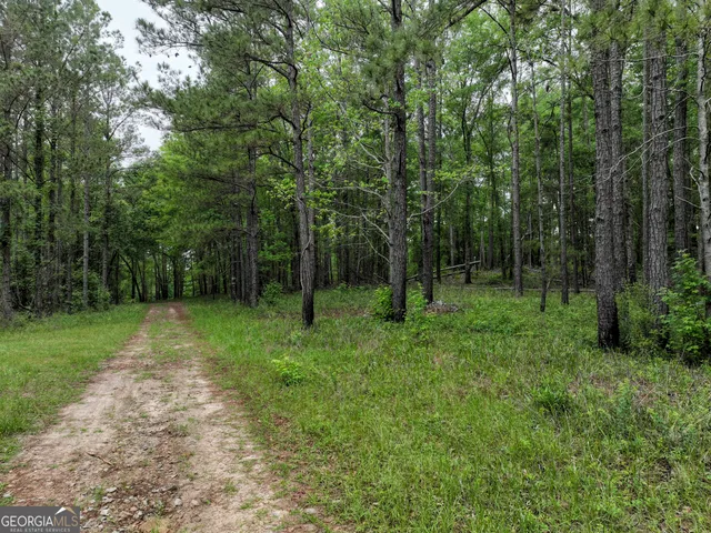 $2,600,000 | 6620 J R Sims Road, Irwinton, GA 31042