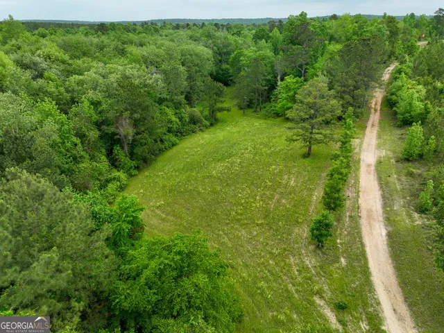 $2,600,000 | 6620 J R Sims Road, Irwinton, GA 31042