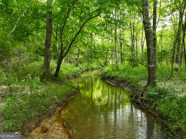 $2,600,000 | 6620 J R Sims Road, Irwinton, GA 31042