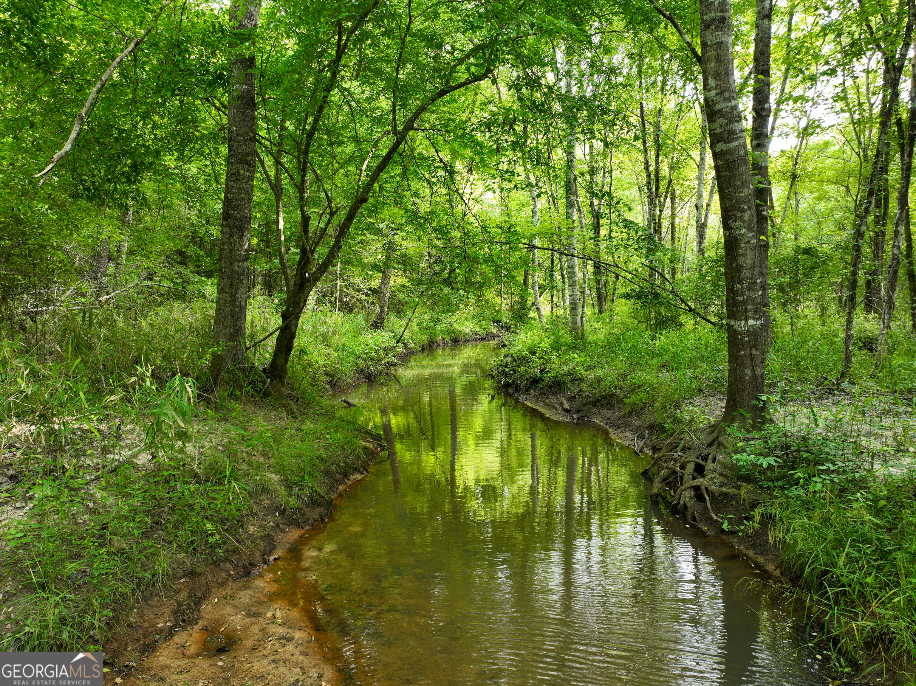 6620 J R Sims Road Irwinton, GA 31042 - Photo 7 of 83