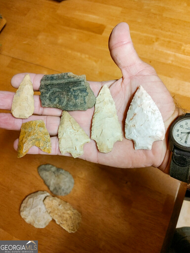 6620 J R Sims Road Irwinton, GA 31042 - Photo 71 of 83