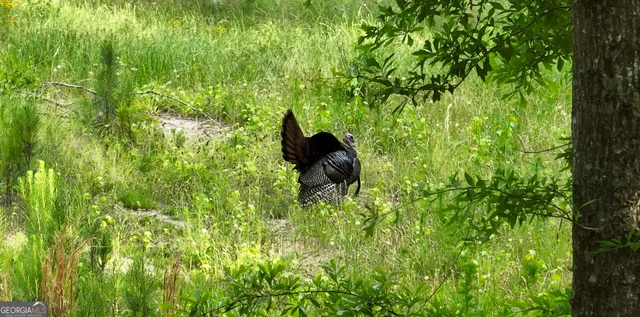 $2,600,000 | 6620 J R Sims Road, Irwinton, GA 31042