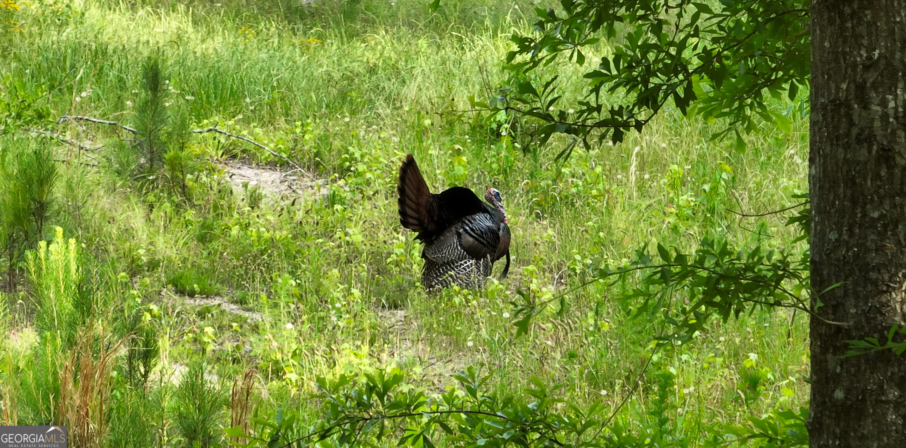 6620 J R Sims Road Irwinton, GA 31042 - Photo 72 of 83