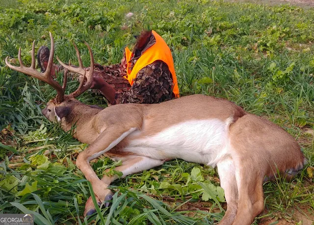 $2,600,000 | 6620 J R Sims Road, Irwinton, GA 31042