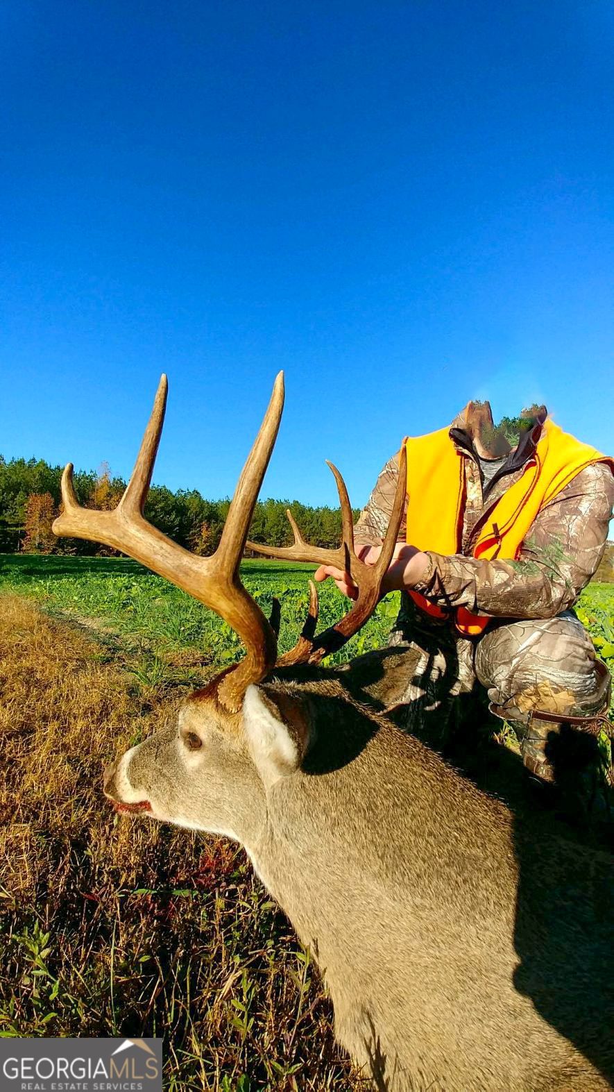 6620 J R Sims Road Irwinton, GA 31042 - Photo 75 of 83