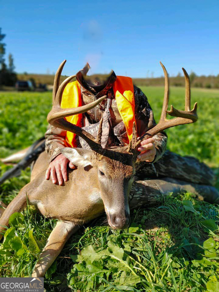 6620 J R Sims Road Irwinton, GA 31042 - Photo 76 of 83