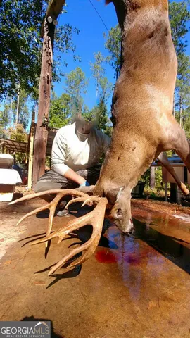 $2,600,000 | 6620 J R Sims Road, Irwinton, GA 31042