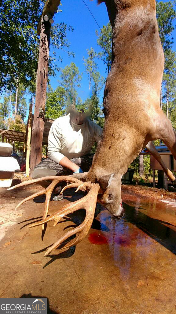 6620 J R Sims Road Irwinton, GA 31042 - Photo 77 of 83