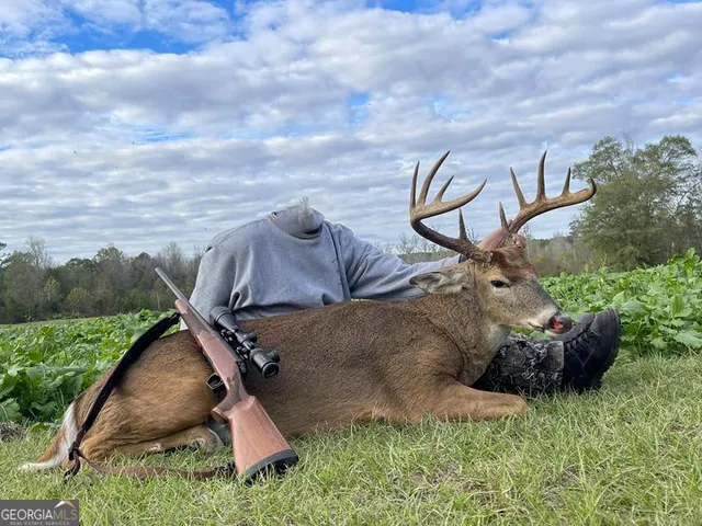 $2,600,000 | 6620 J R Sims Road, Irwinton, GA 31042