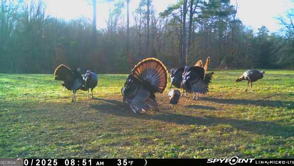 6620 J R Sims Road Irwinton, GA 31042 - Photo 79 of 83