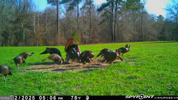 6620 J R Sims Road Irwinton, GA 31042 - Photo 80 of 83