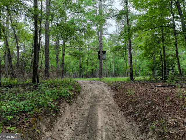 $2,600,000 | 6620 J R Sims Road, Irwinton, GA 31042