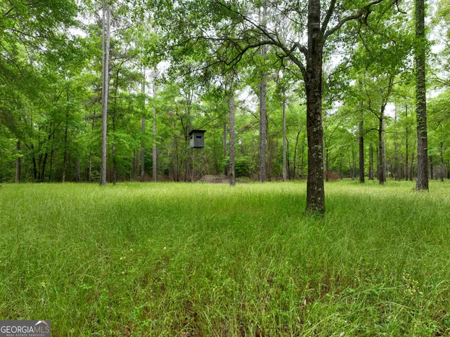 $2,600,000 | 6620 J R Sims Road, Irwinton, GA 31042