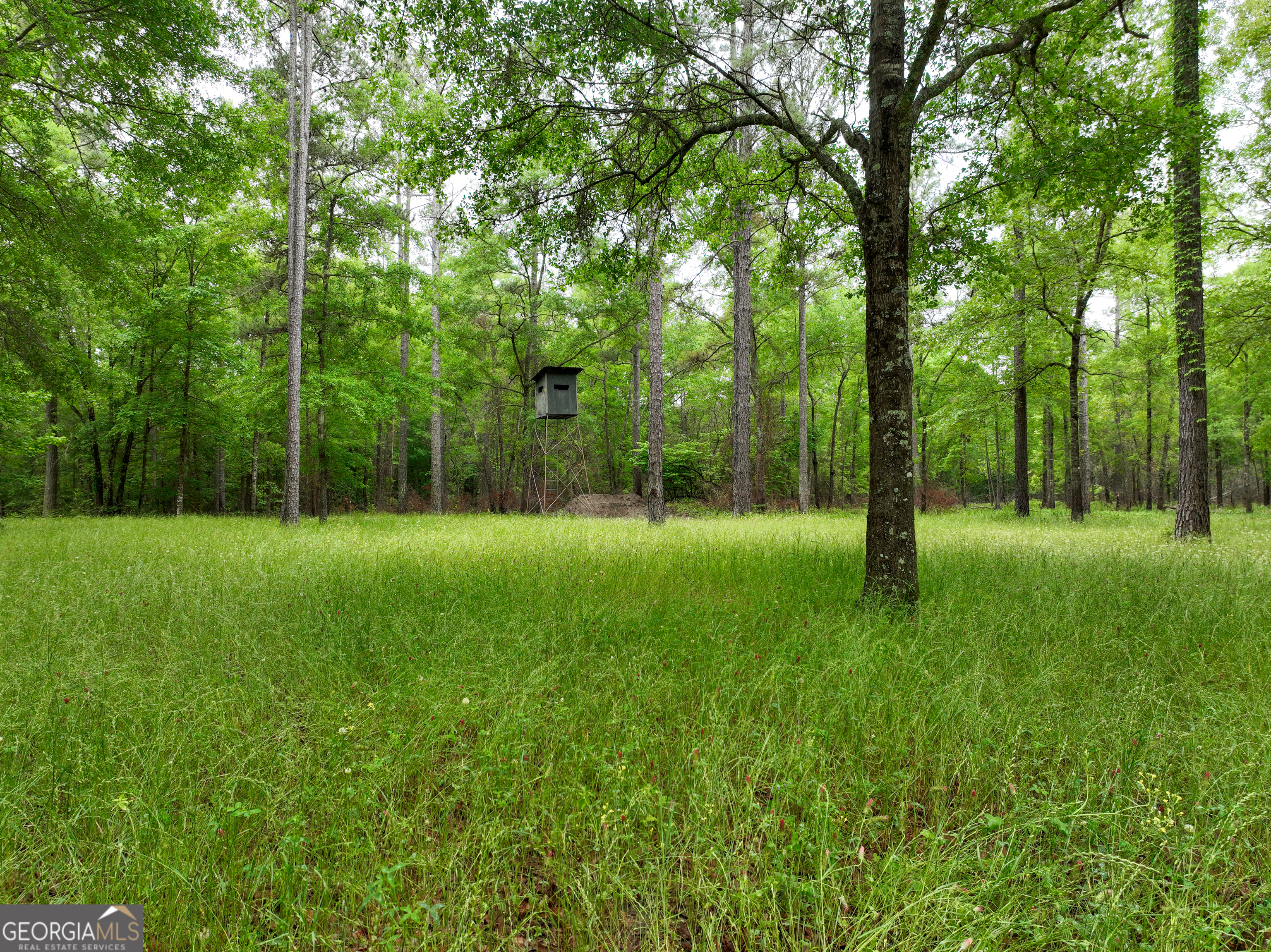 6620 J R Sims Road Irwinton, GA 31042 - Photo 9 of 83