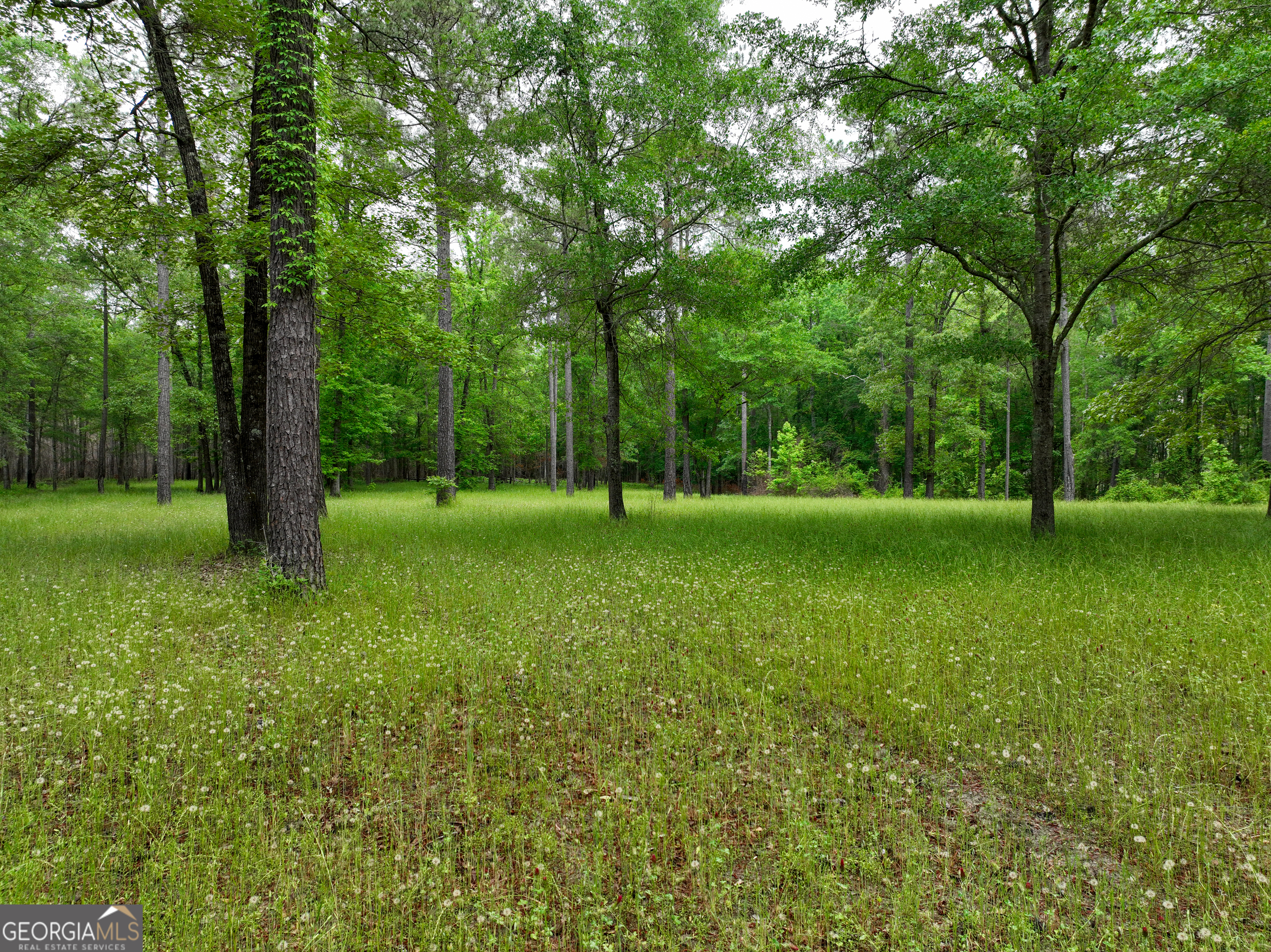 6620 J R Sims Road Irwinton, GA 31042 - Photo 10 of 83