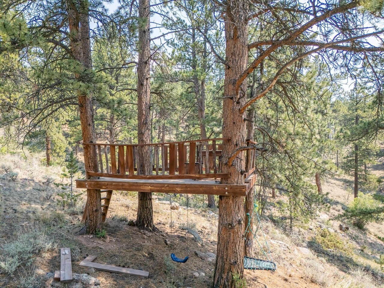 296 Caddo Road Red Feather Lakes, CO 80545 - Photo 42 of 50