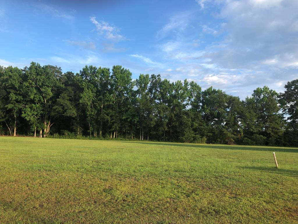 115 Damascus Road Sumter, SC 29153 - Photo 7 of 16 Photo 7