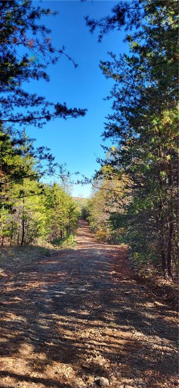 347 Wray Road Stoneville, NC 27048 - Photo 11 of 43