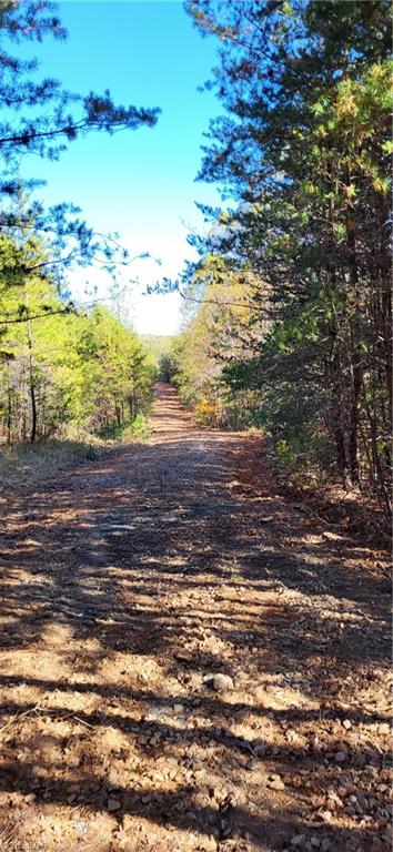 347 Wray Road Stoneville, NC 27048 - Photo 12 of 43