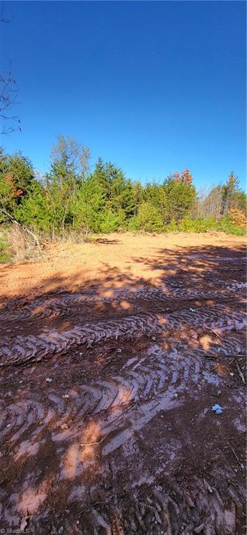 347 Wray Road Stoneville, NC 27048 - Photo 15 of 43