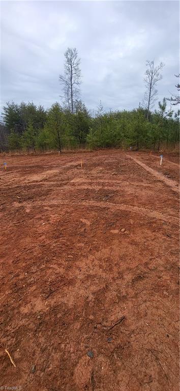 347 Wray Road Stoneville, NC 27048 - Photo 17 of 43