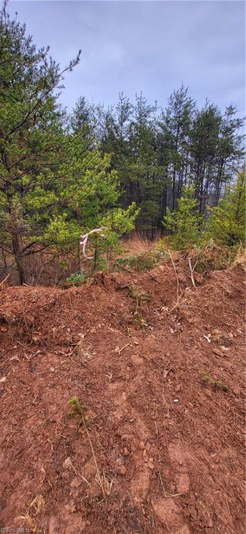 347 Wray Road Stoneville, NC 27048 - Photo 18 of 43