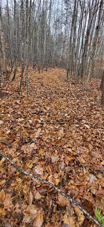 347 Wray Road Stoneville, NC 27048 - Photo 19 of 43