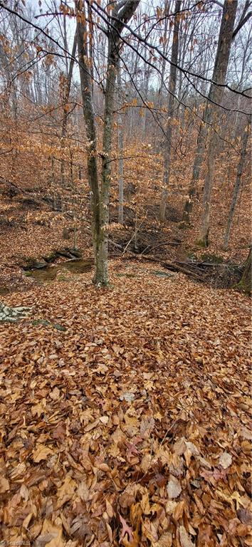 347 Wray Road Stoneville, NC 27048 - Photo 20 of 43