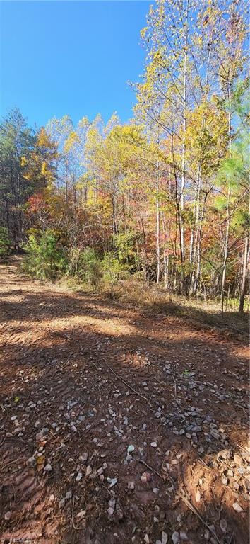 347 Wray Road Stoneville, NC 27048 - Photo 2 of 43