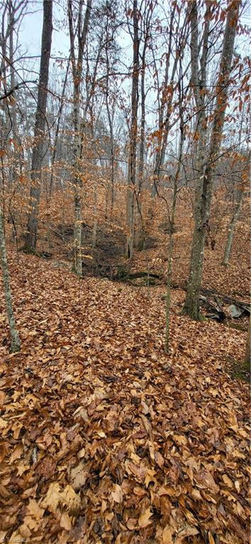 347 Wray Road Stoneville, NC 27048 - Photo 21 of 43