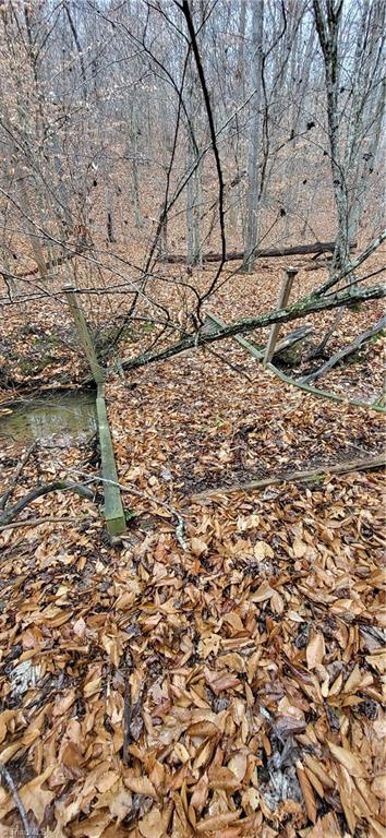 347 Wray Road Stoneville, NC 27048 - Photo 27 of 43 Unpermitted bridge across stream