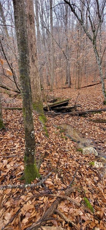 347 Wray Road Stoneville, NC 27048 - Photo 28 of 43