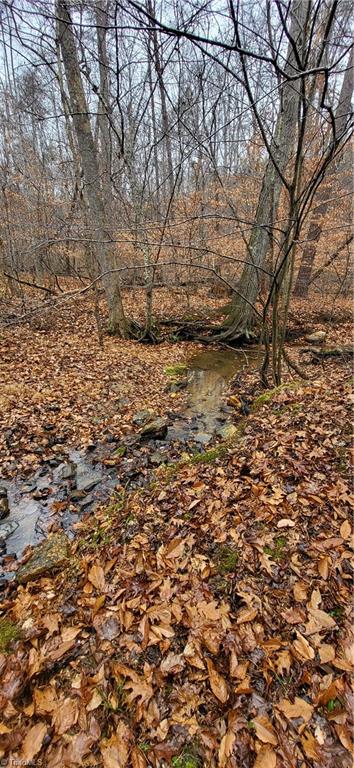 347 Wray Road Stoneville, NC 27048 - Photo 30 of 43