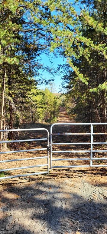 347 Wray Road Stoneville, NC 27048 - Photo 3 of 43 Entrance