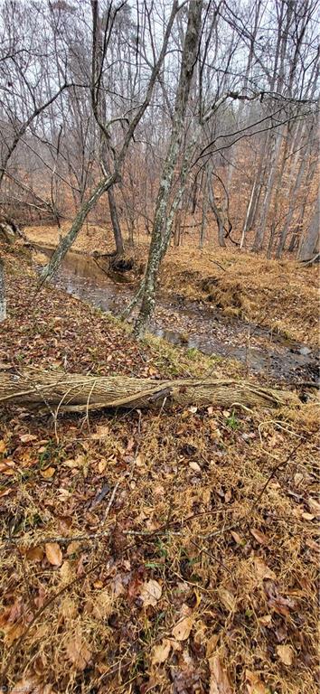 347 Wray Road Stoneville, NC 27048 - Photo 31 of 43