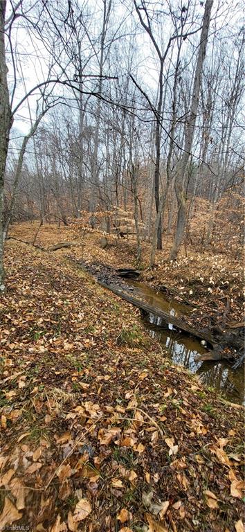 347 Wray Road Stoneville, NC 27048 - Photo 32 of 43