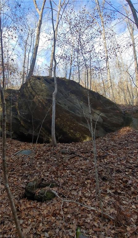 347 Wray Road Stoneville, NC 27048 - Photo 33 of 43 Large rock formation