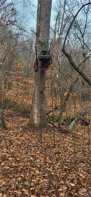 347 Wray Road Stoneville, NC 27048 - Photo 35 of 43 Hunting stand